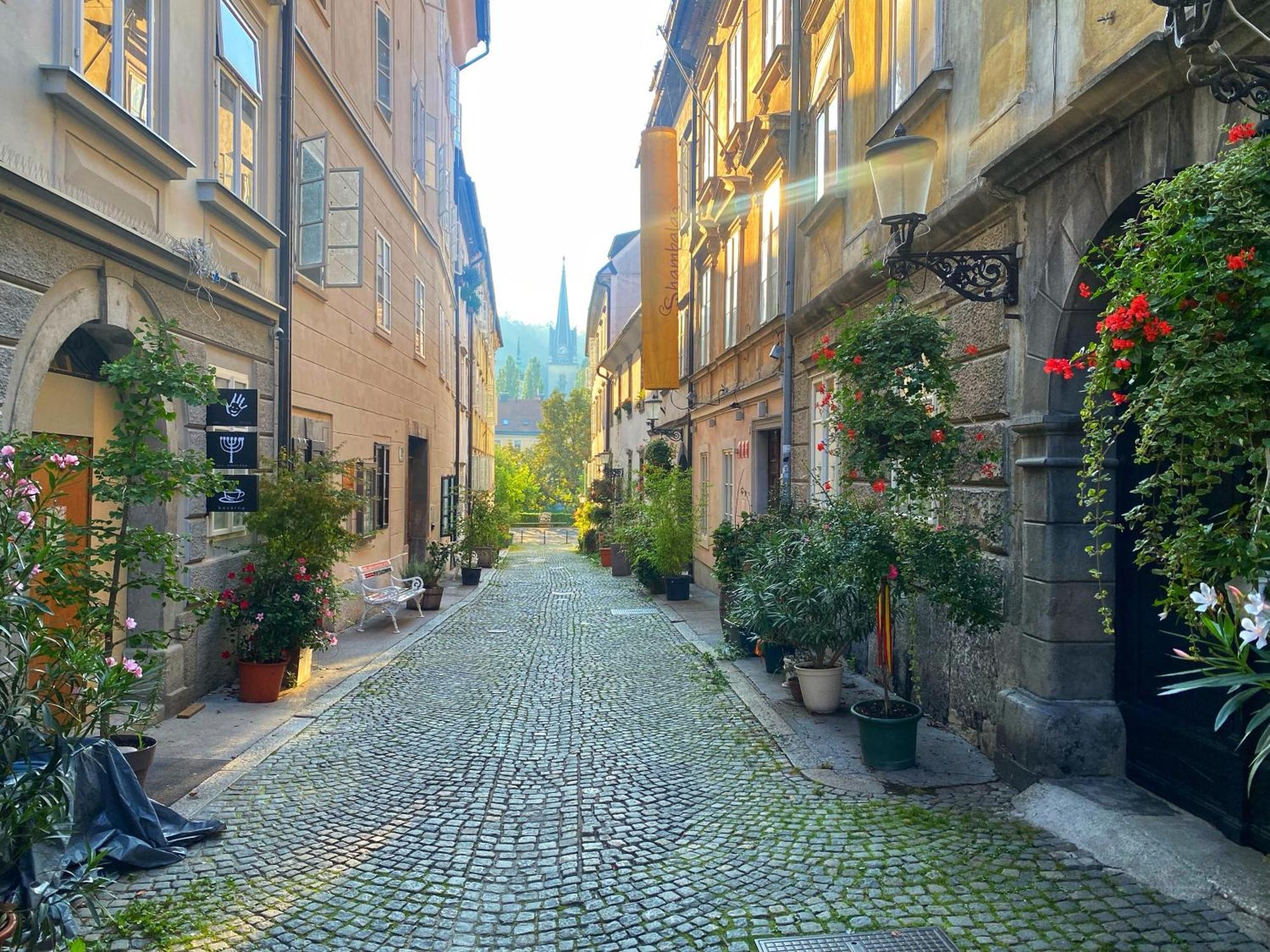 1Br Apartment On The Most Beautiful Street In Ljubljana Center Zewnętrze zdjęcie